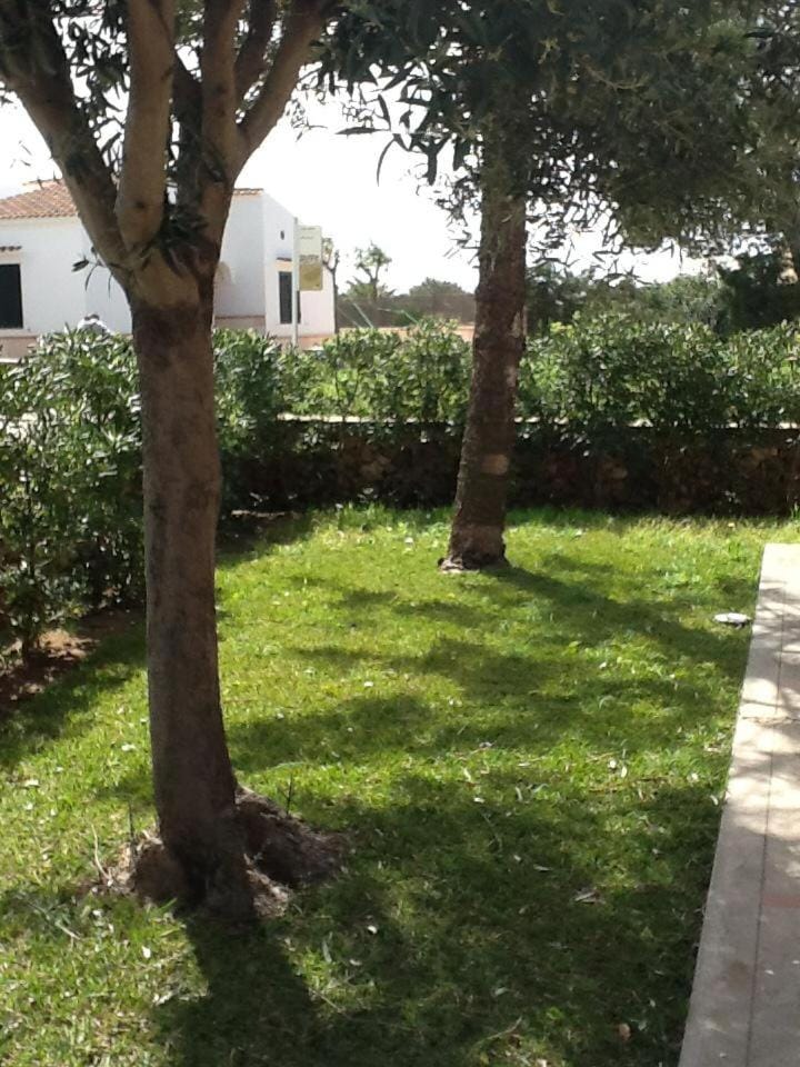 Torres Sureda 171 Apartment in Spain