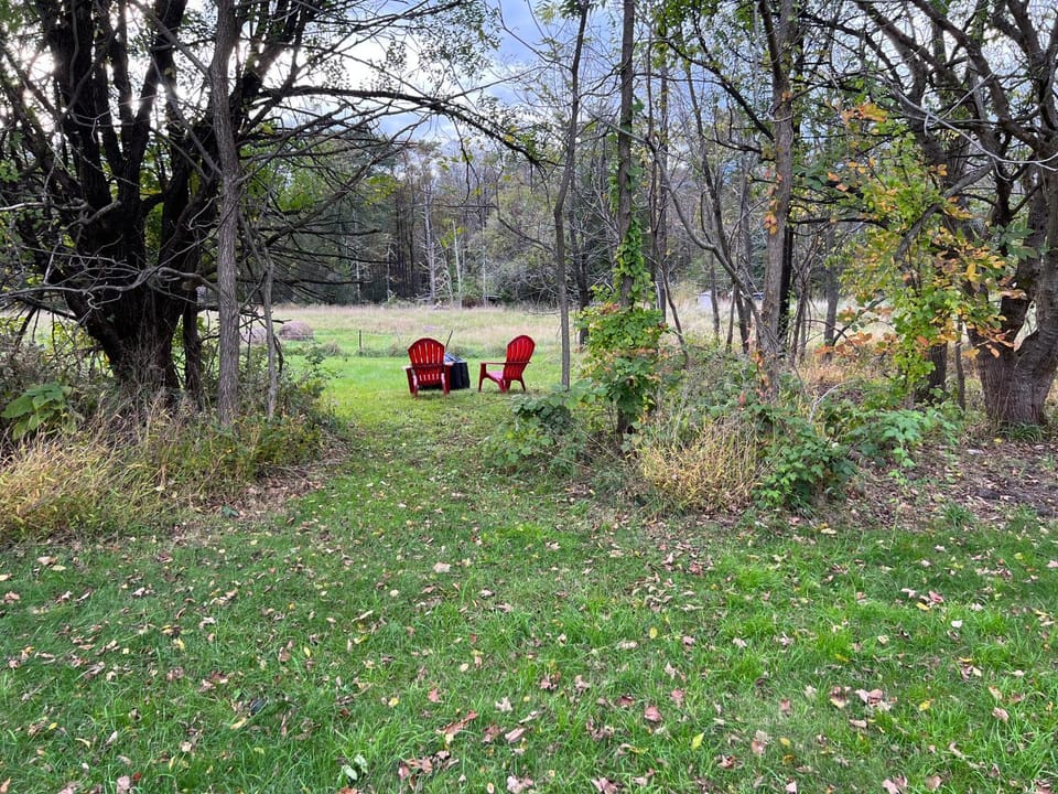 Garden, View (from property/room)