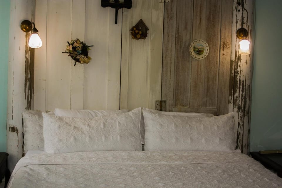 Restored historic home near ND and Amish Country House in Edwardsburg