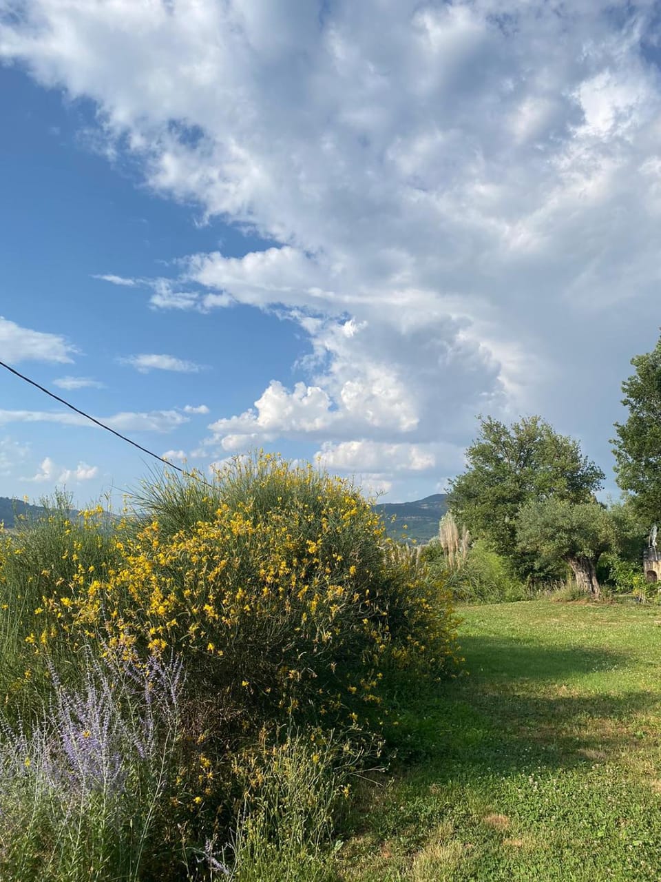 Natural landscape