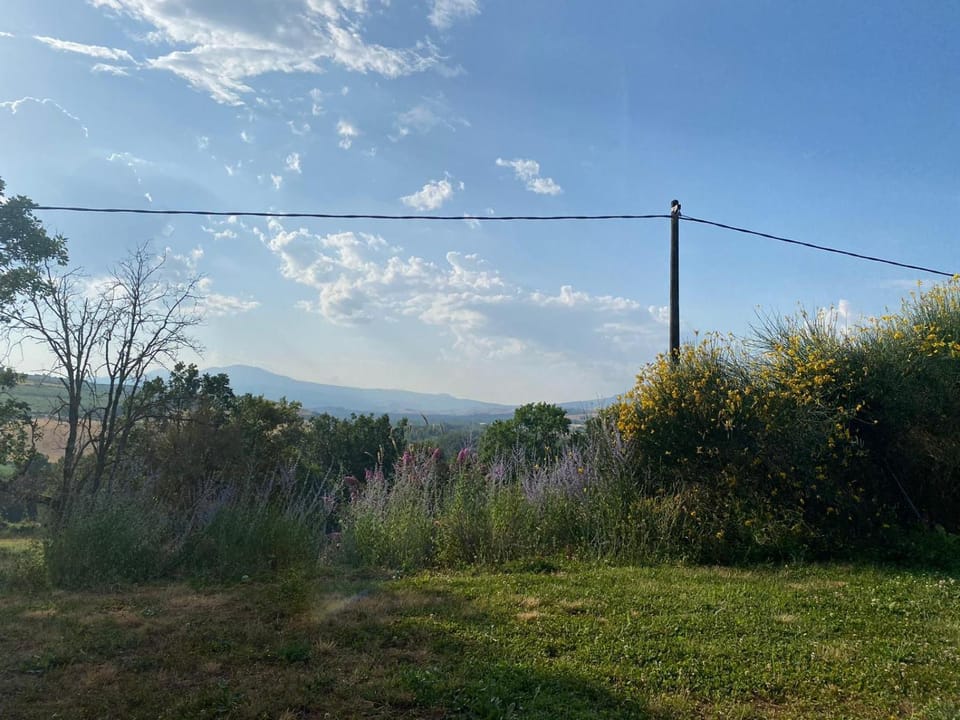 Day, Mountain view