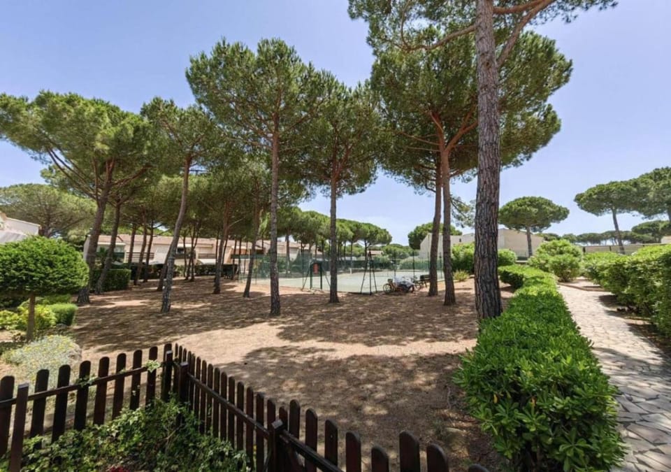 Garden, Garden view