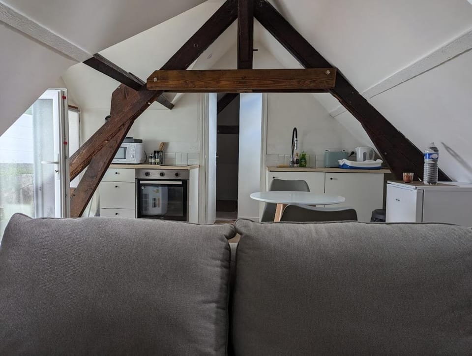 Appartement - Vendôme Apartment in Vendôme
