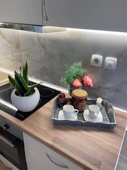 Cozy studio στο κεντρο Apartment in Peloponnese, Western Greece and the Ionian