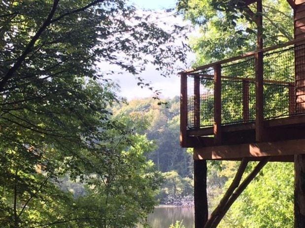 Spring, Natural landscape