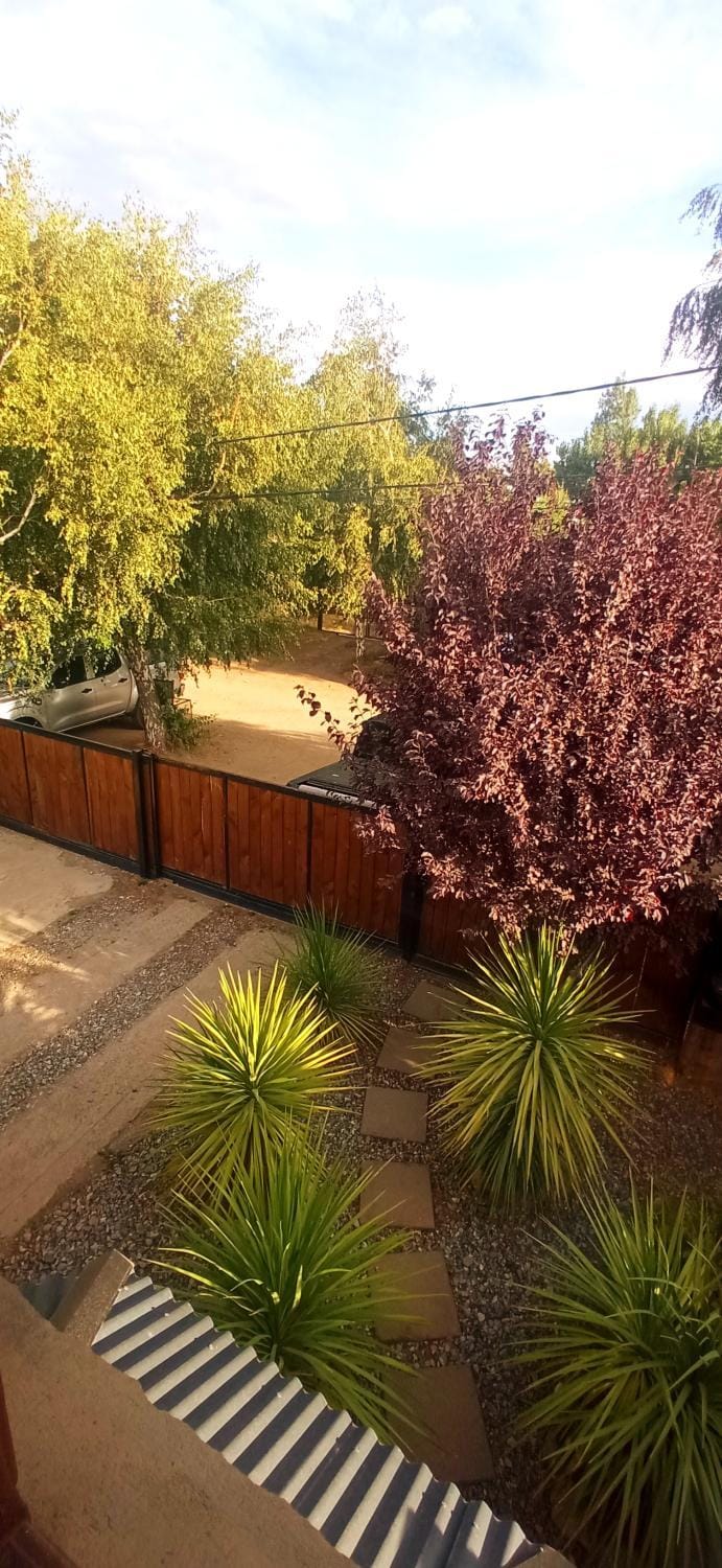 Property building, Garden view