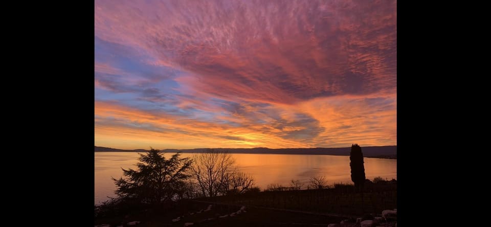 le petit paradis Bed and Breakfast in Lausanne