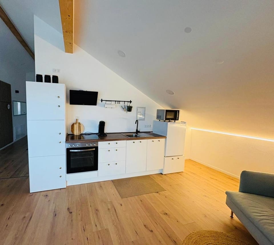 Kitchen or kitchenette, dishwasher, stove