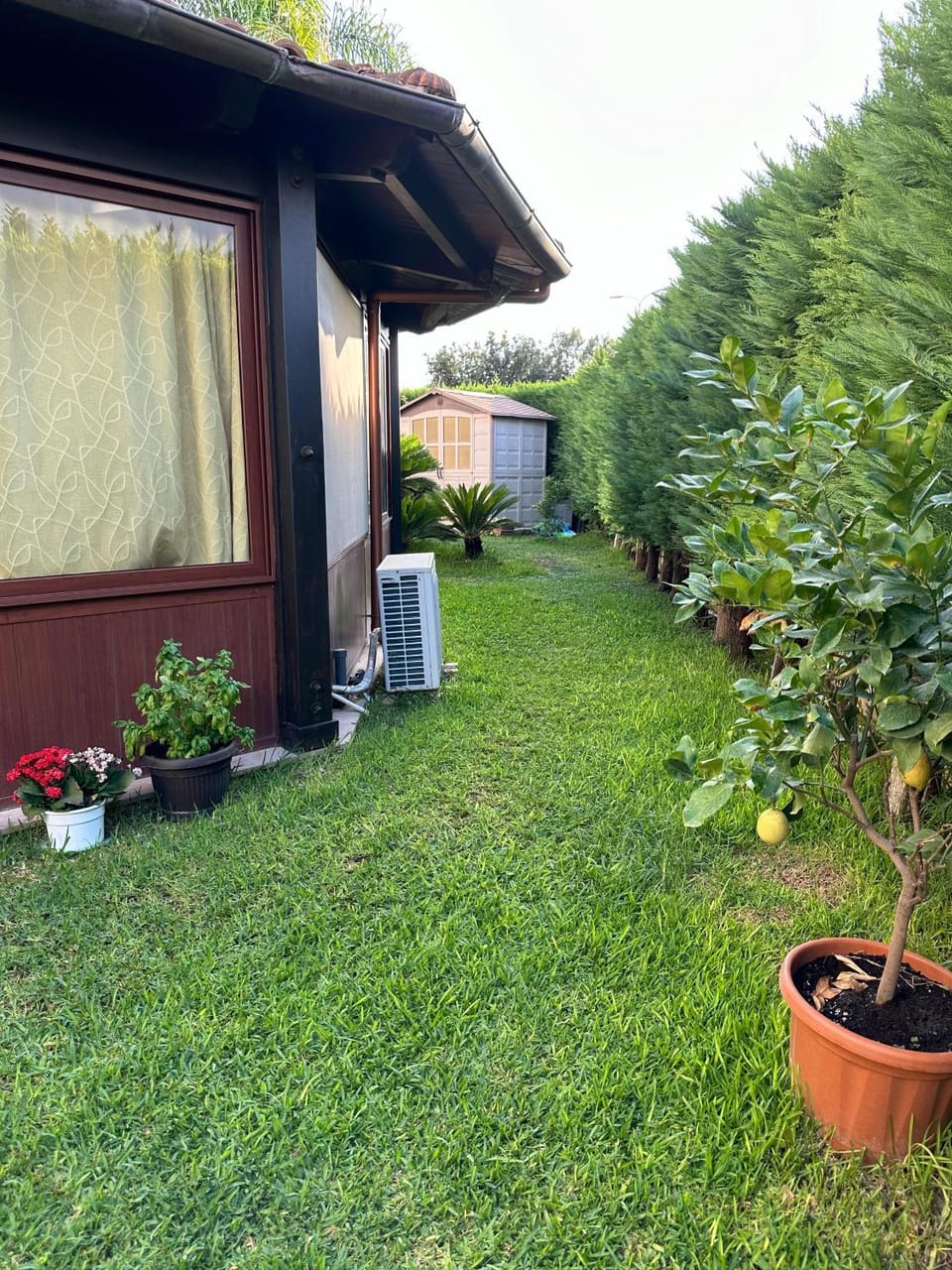 Garden, Garden