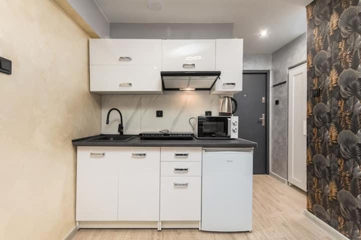 Kitchen or kitchenette, minibar, stove