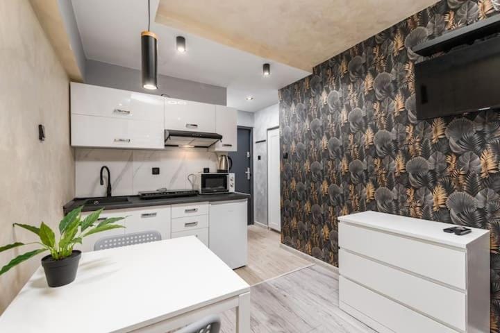 Kitchen or kitchenette, minibar, stove