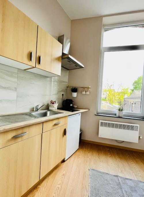 Charmant petit appartement. Apartment in Liège