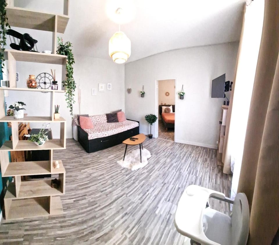 L'Ocean Appartement lumineux centre Blois Apartment in Blois