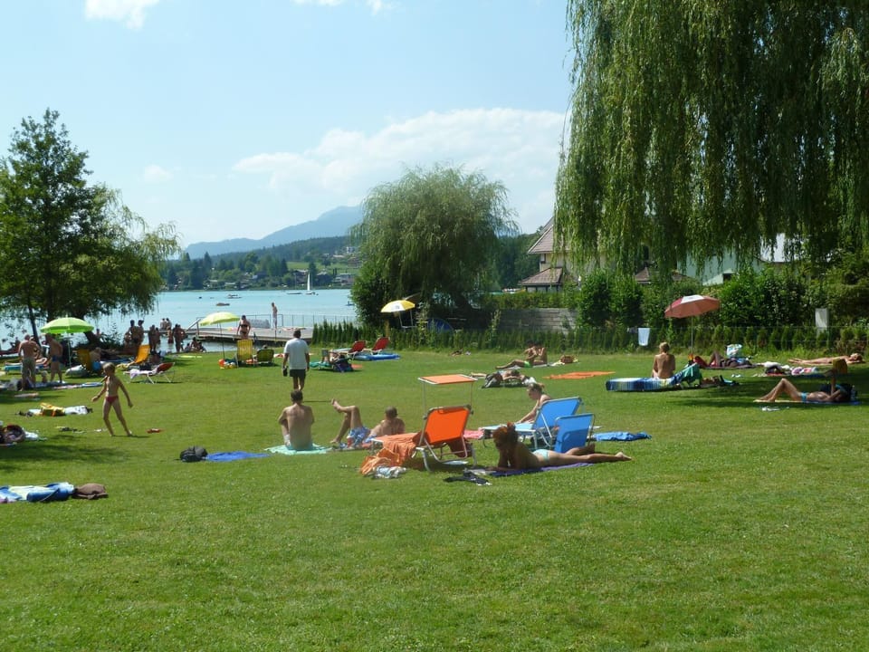 Day, Garden, group of guests