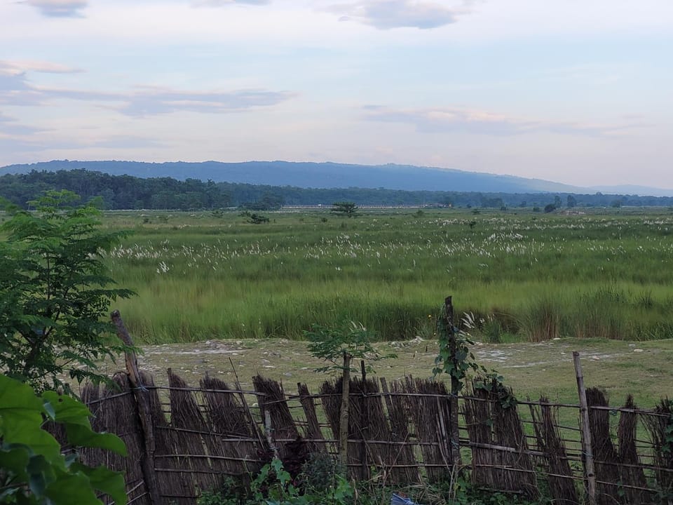 Natural landscape