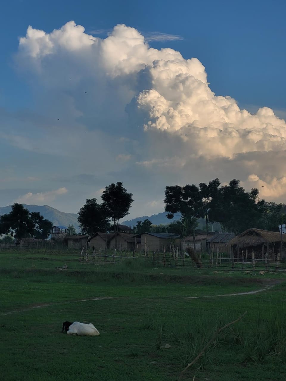 Natural landscape