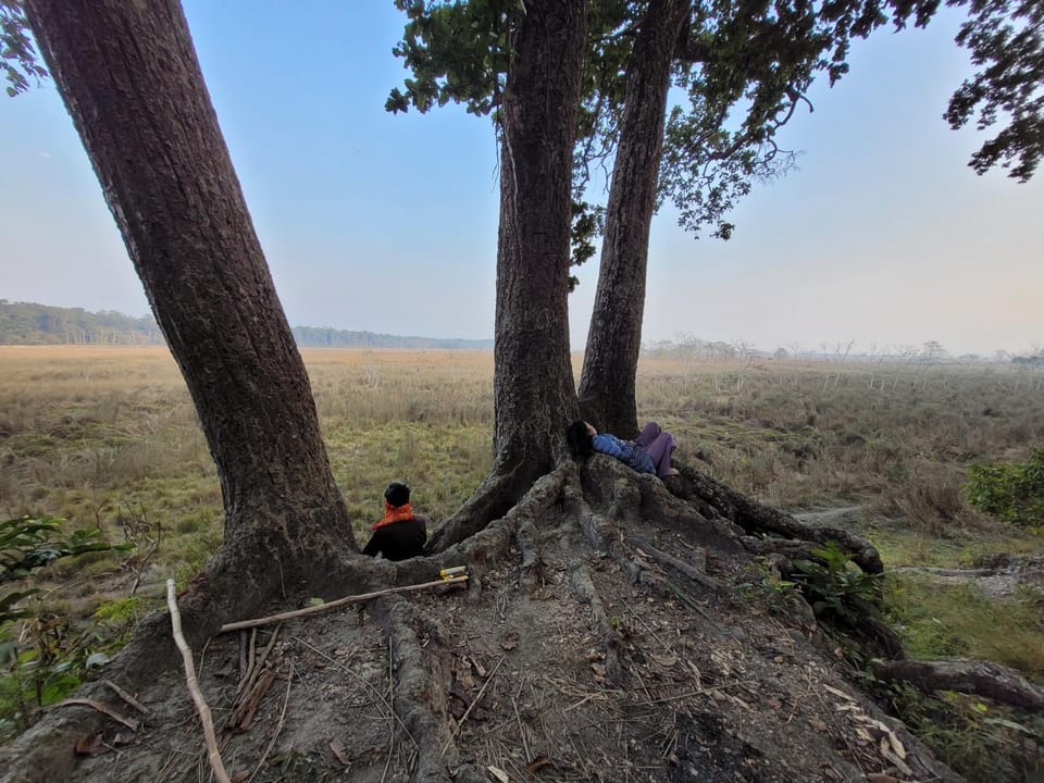 Day, People, Natural landscape, group of guests