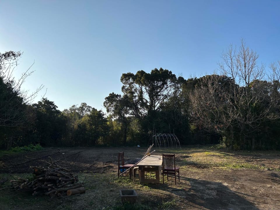Day, Natural landscape, Garden view
