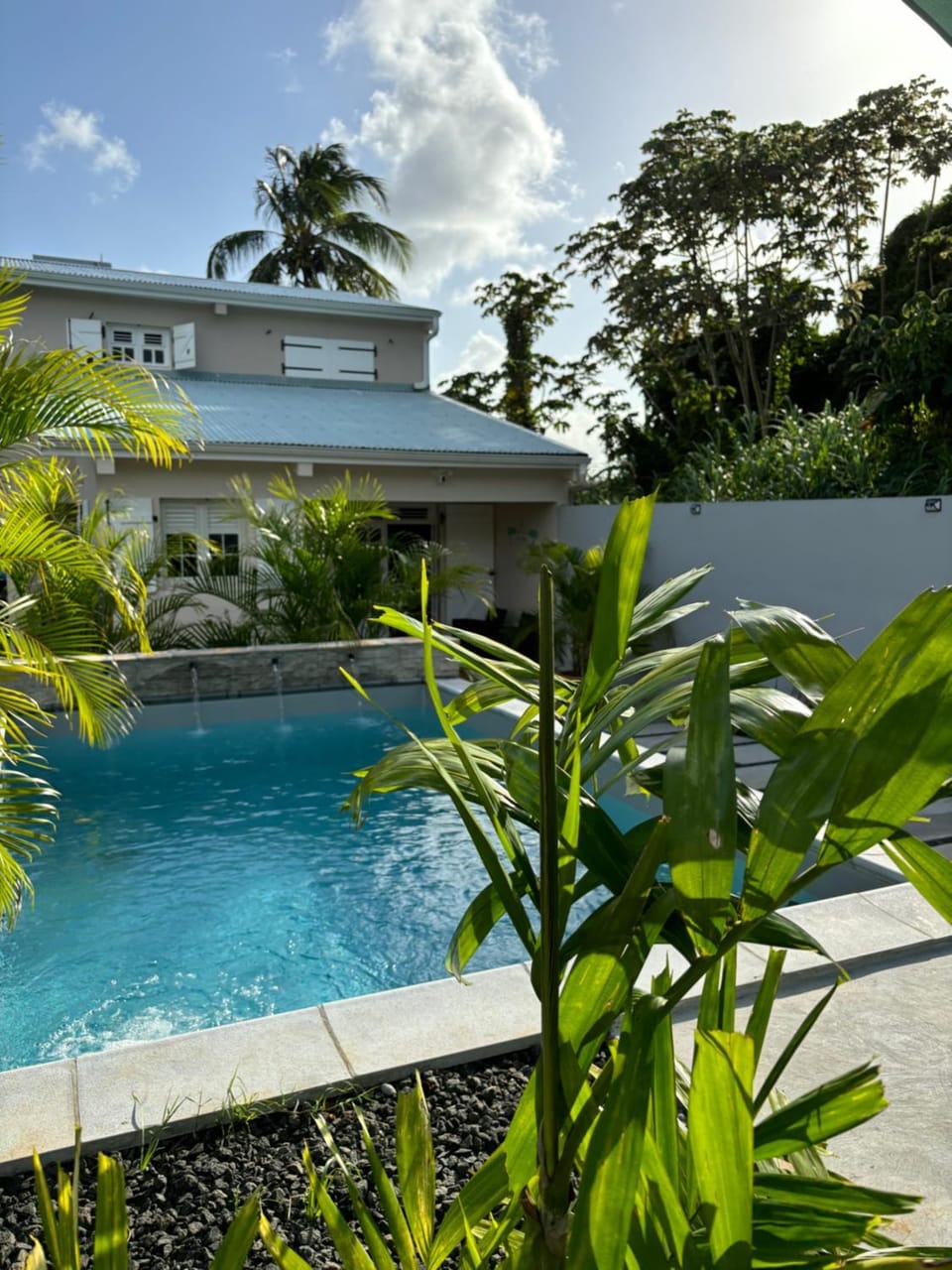 Property building, Garden, Garden view, Pool view, Swimming pool