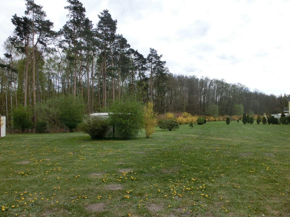 Fewo Küstenwald Eikkater 2 EG Seutter - GM 69763 Apartment in Graal-Müritz