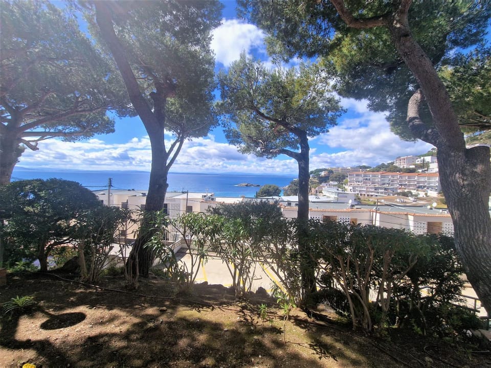 Day, Natural landscape, Garden, Mountain view, Sea view