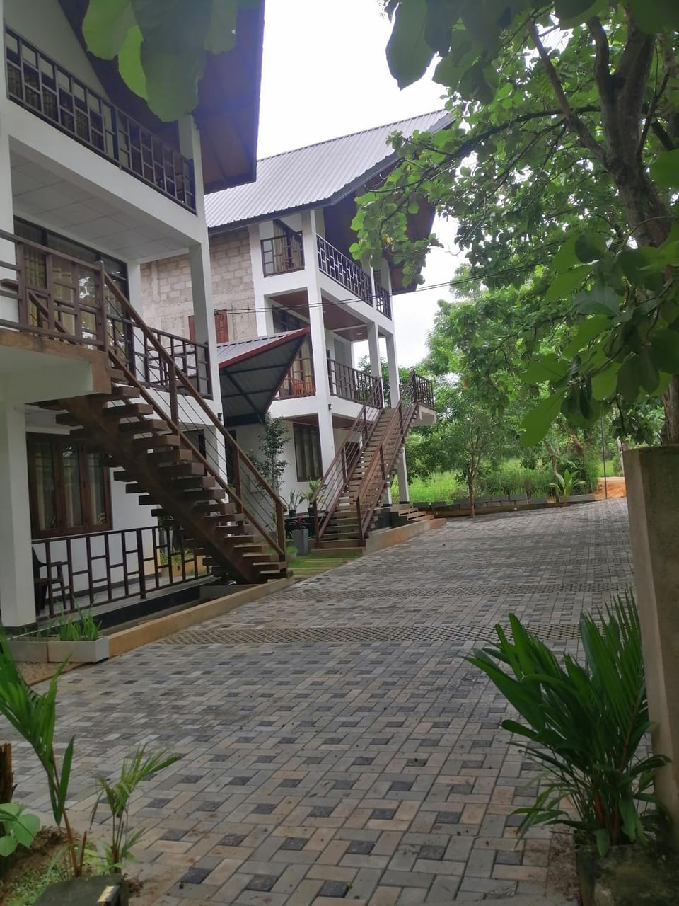 Malwathu Oya Forest Garden Bed and Breakfast in Sri Lanka