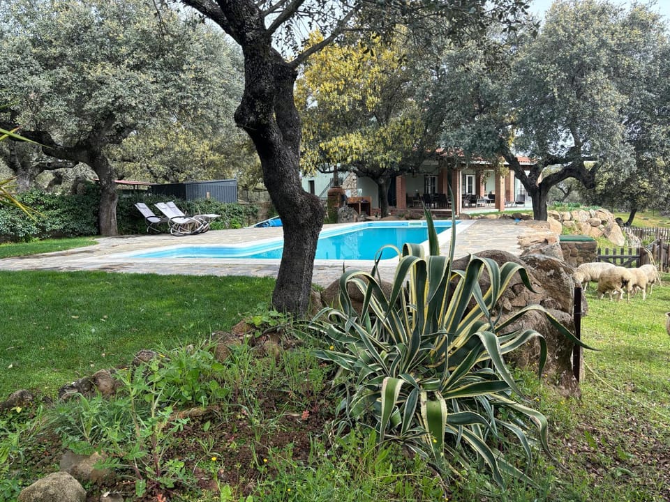 Garden, Pool view