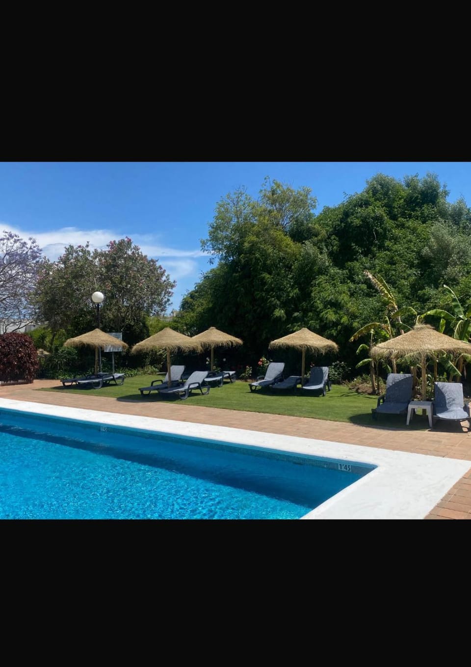 Garden, Pool view, Swimming pool, sunbed