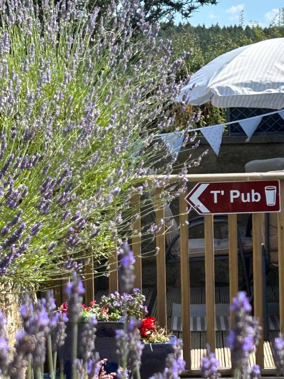 Twattleton Cottage Kilburn Yorkshire - Beautiful views House in Borough of Harrogate