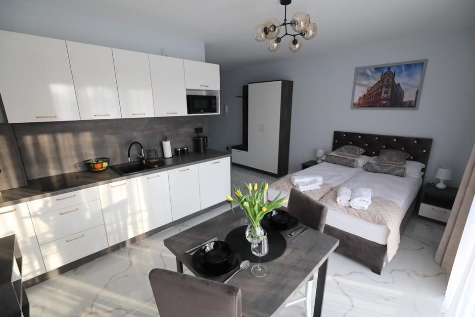 Bed, Kitchen or kitchenette, Living room, Photo of the whole room, Seating area, Bedroom, oven, pet friendly, stove