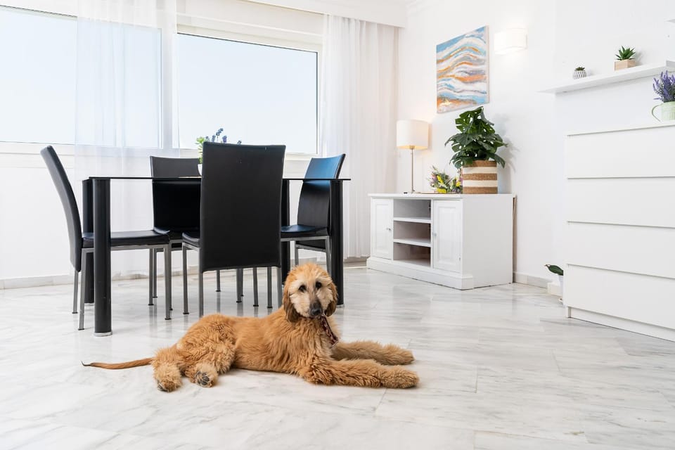 MONKÓ BORA BORA Apartment in Benalmadena