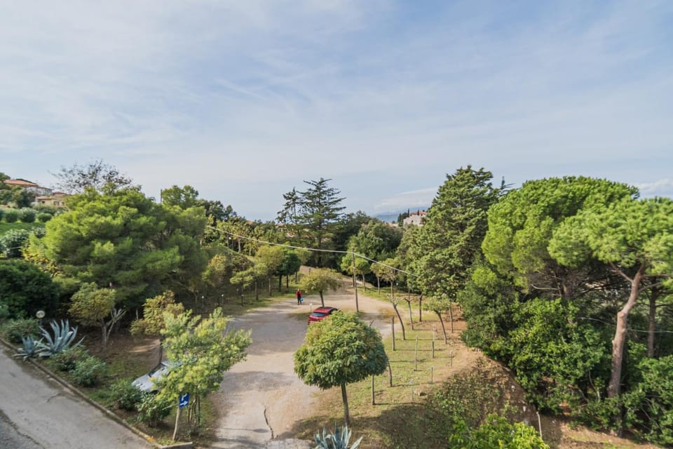 Day, Natural landscape, Garden, Garden view