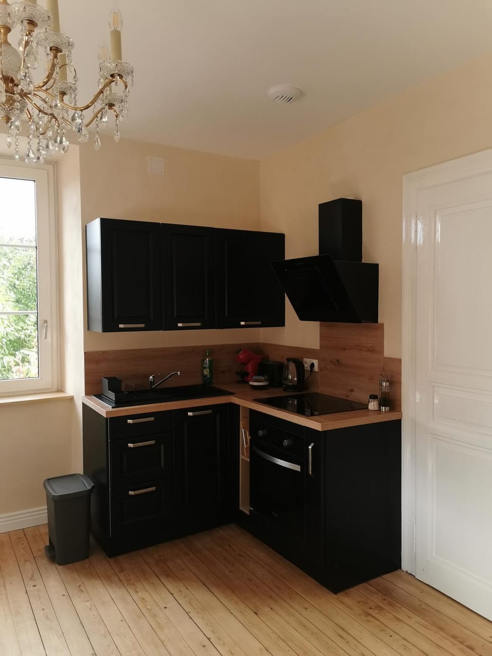 pet friendly, stove, kitchen