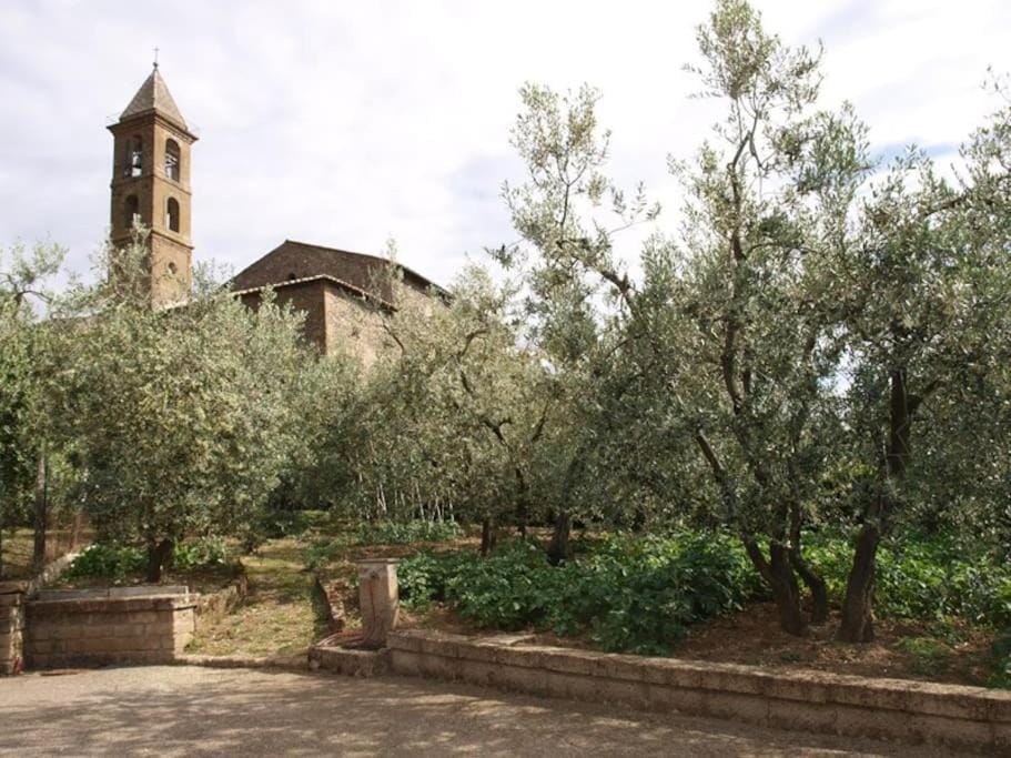 Garden, Garden view, Landmark view
