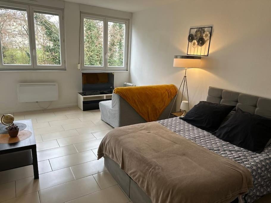 Metz Muse Studio 4 couchages Apartment in Metz
