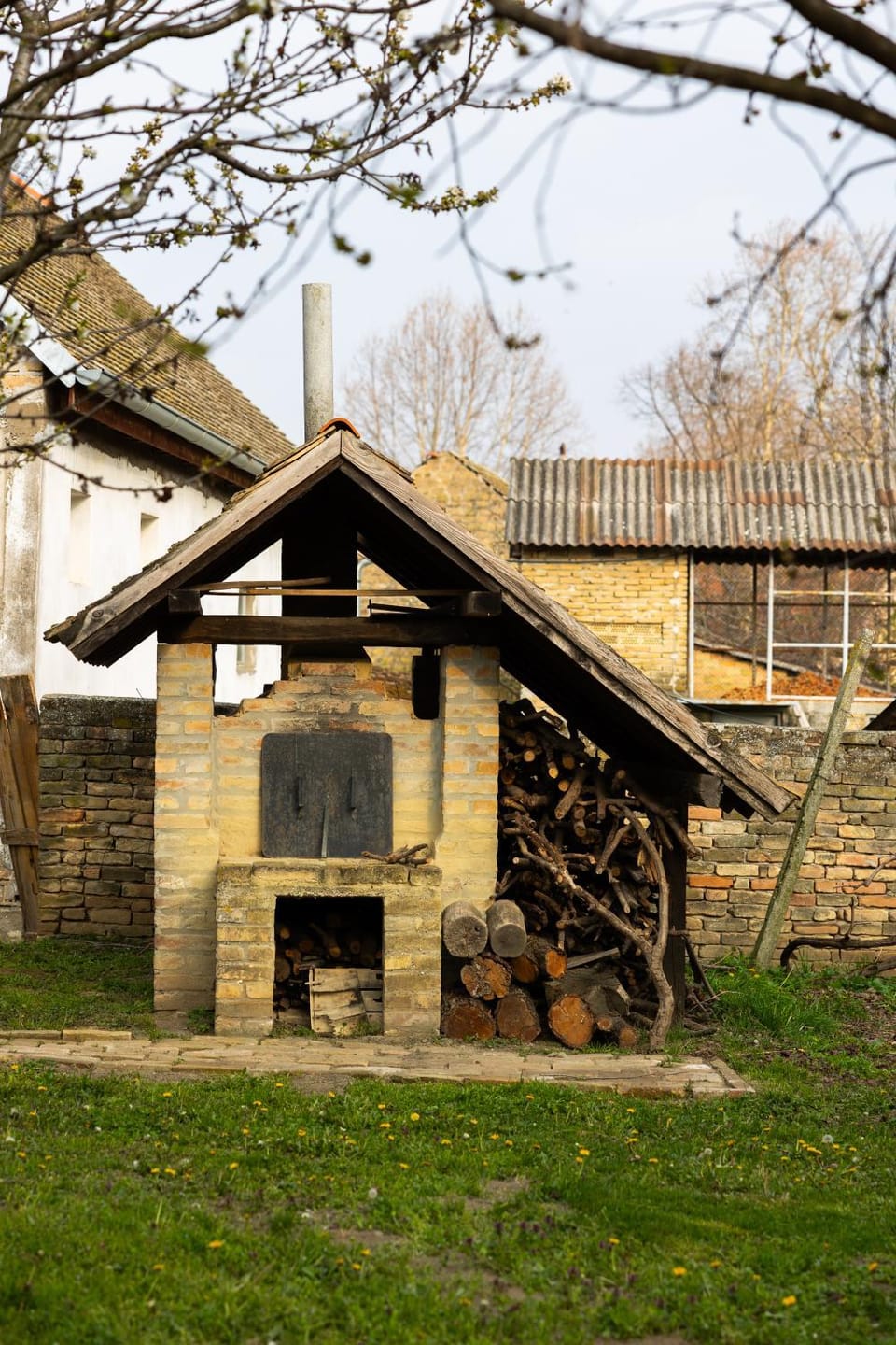 Spring, Garden