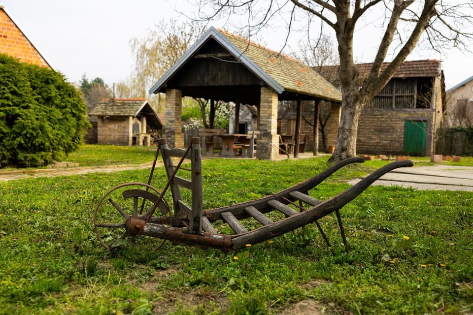 Spring, Day, Natural landscape