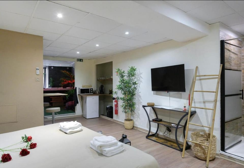 TV and multimedia, Photo of the whole room, minibar