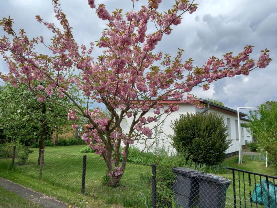 Garden, Garden view