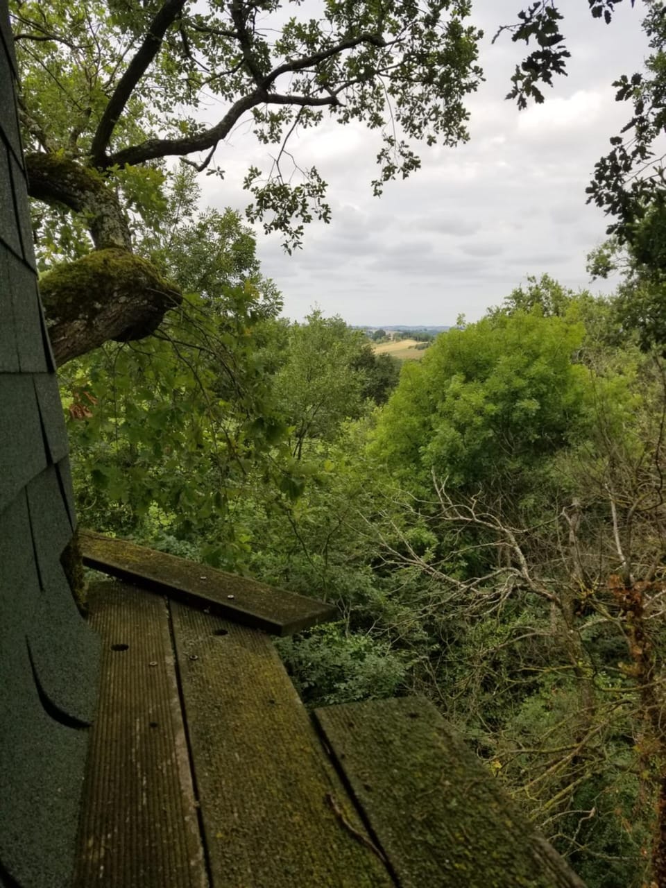 View (from property/room)