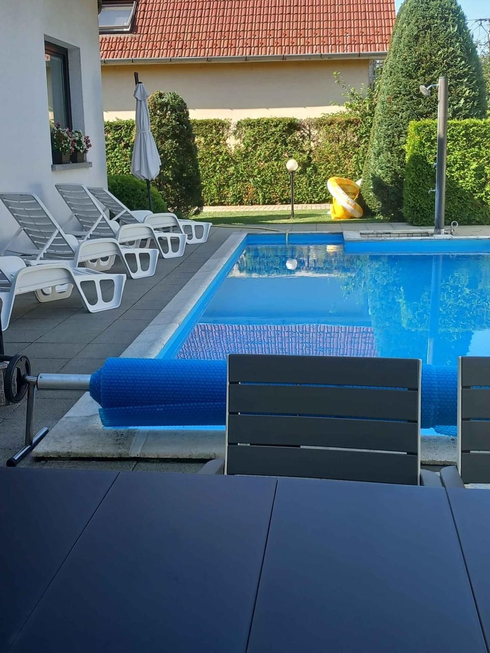 Summer, Swimming pool, sunbed