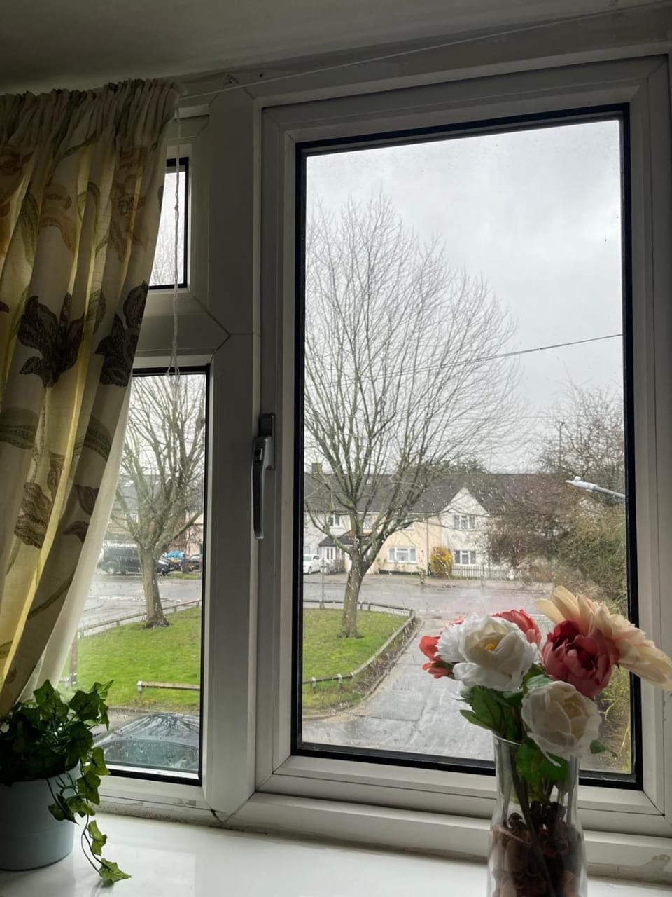 Garden view, Street view, Quiet street view