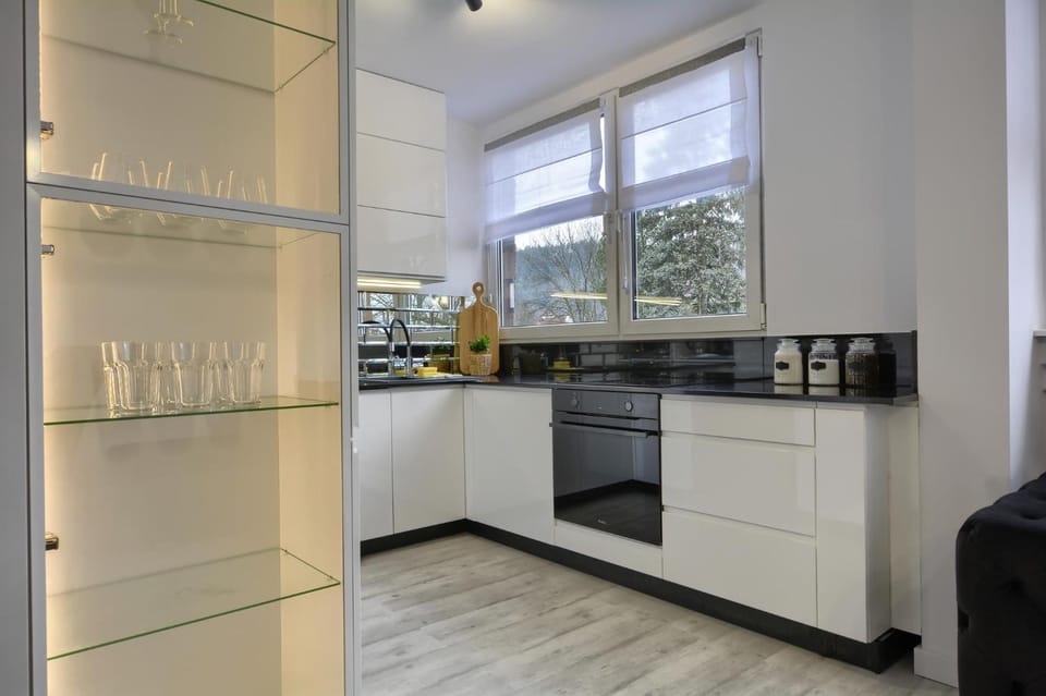 Apartament Centrum Apartment in Lower Silesian Voivodeship