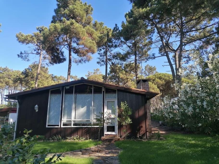 Casa da Lagoa - House by the Lagoon with Direct Access to the Beach Apartment in Setubal District