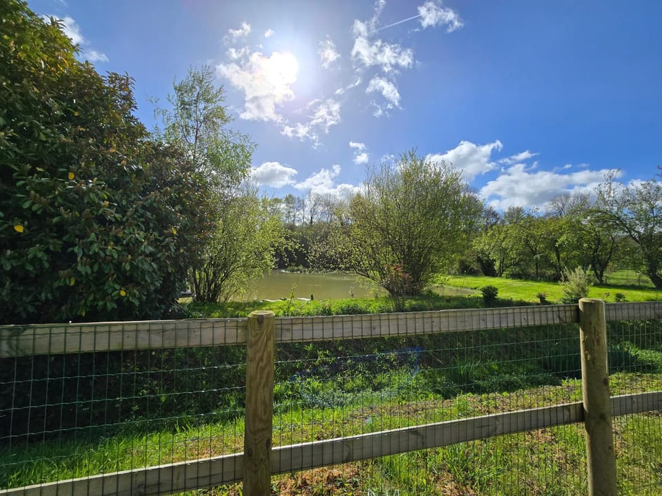 Spring, Natural landscape, Garden, Garden view