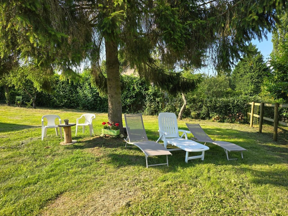 Spring, Day, Natural landscape, Garden, Garden view, sunbed