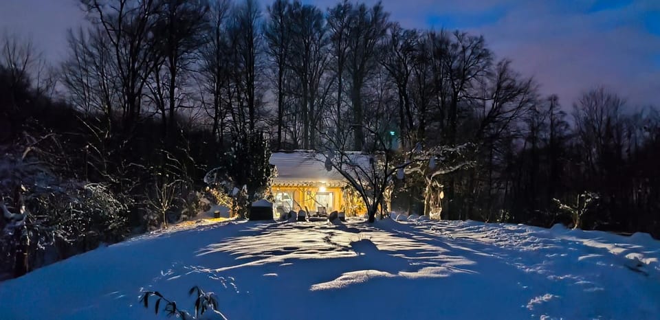 Holiday Home Forest INN House in Slovenia