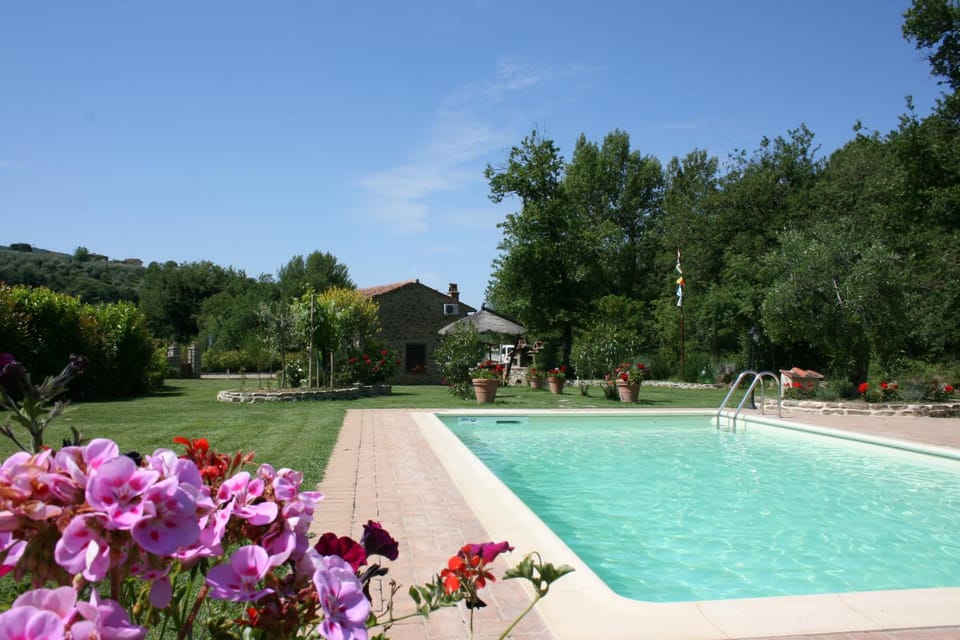 Swimming pool, Swimming pool