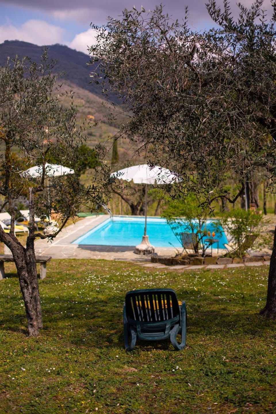 Garden, Pool view, Swimming pool, Swimming pool