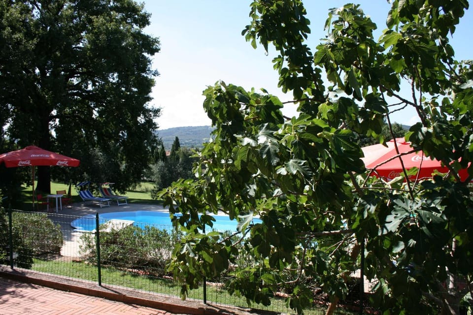 Pool view, Swimming pool, Swimming pool
